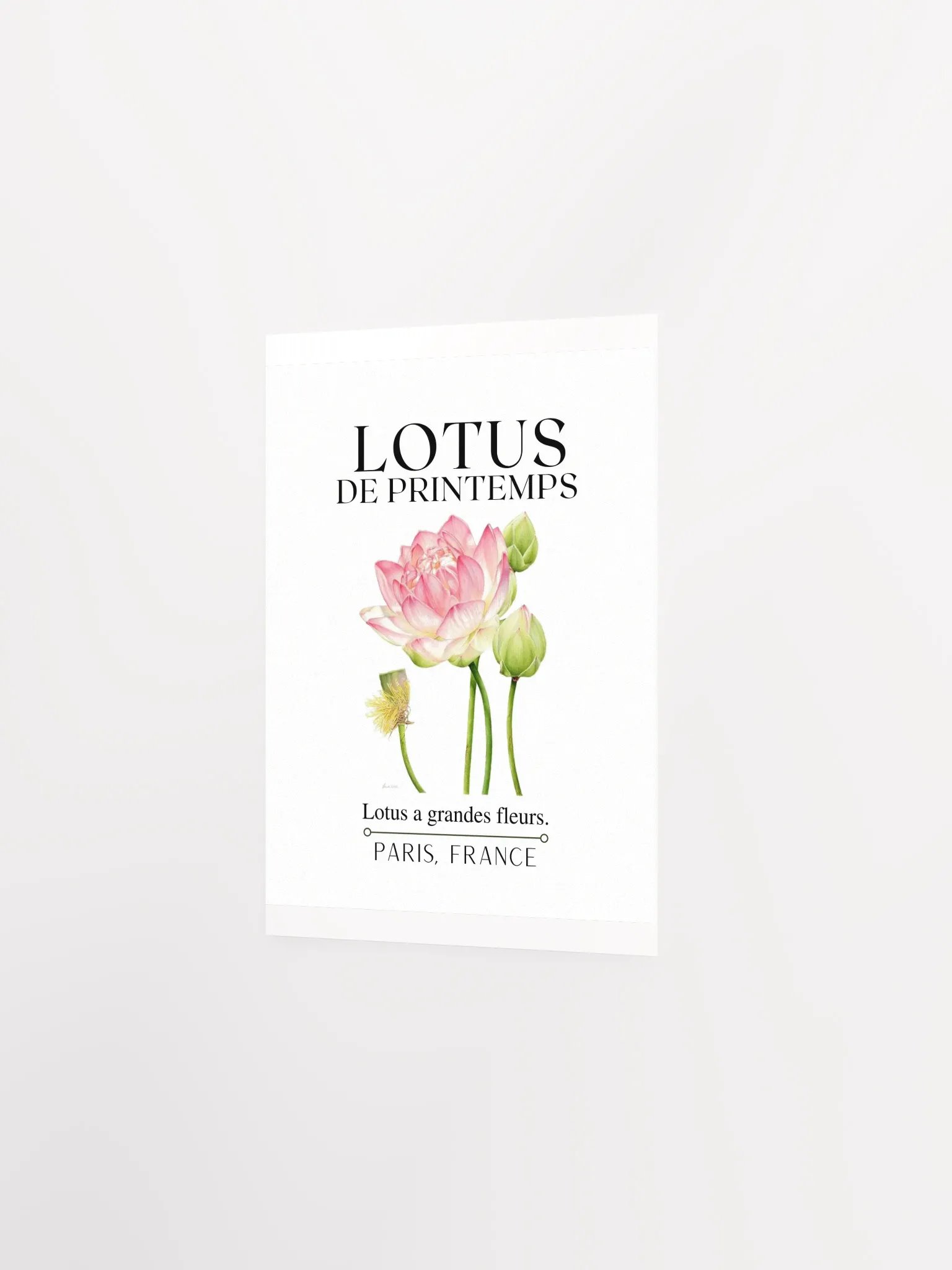 FLORAL PRINT- LOTUS product image (13)