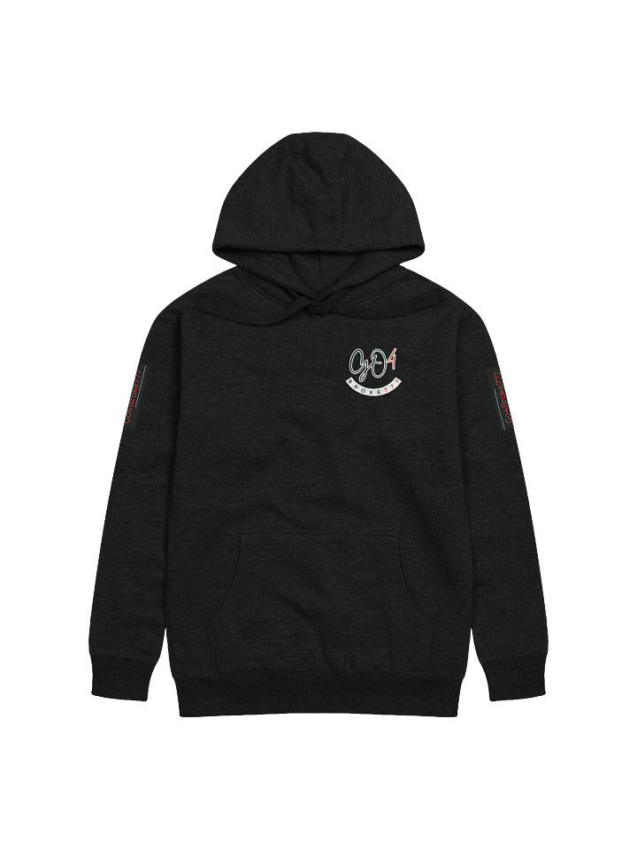 Hit It Big Hoodie 1.0 product image (1)