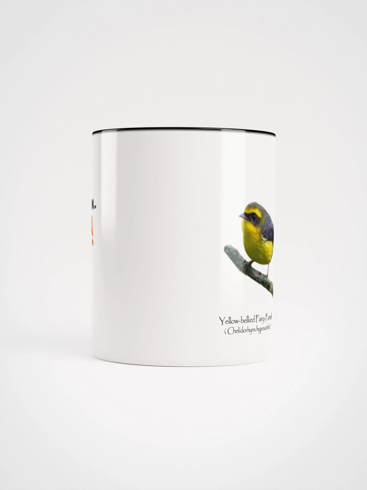 Yellow-bellied Fairy-Fantail mug product image (49)