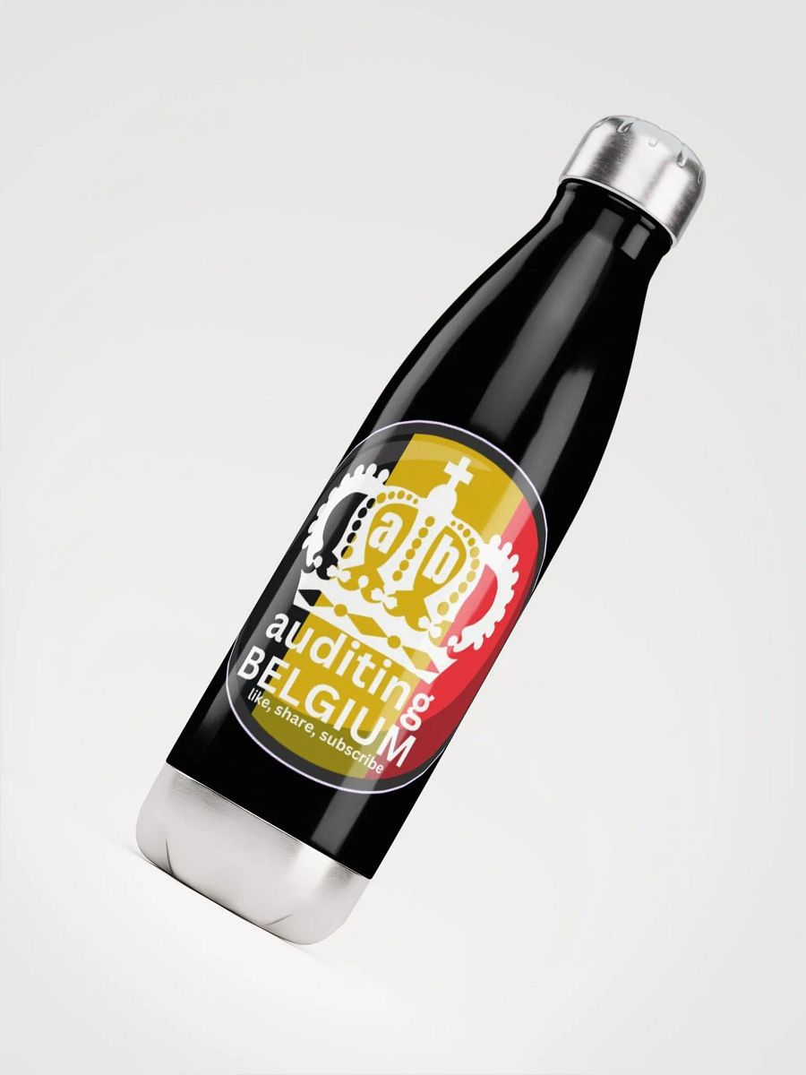 AUDITING BELGIUM product image (7)