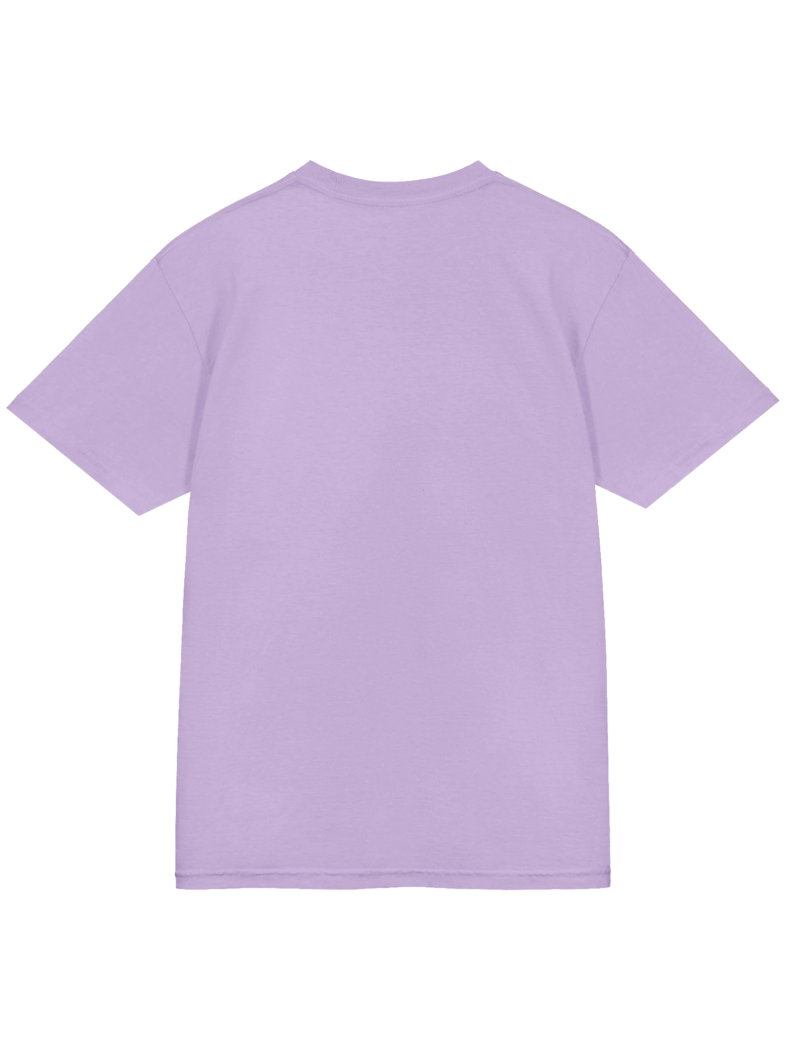 Gaymer Shirt (Alt) product image (47)