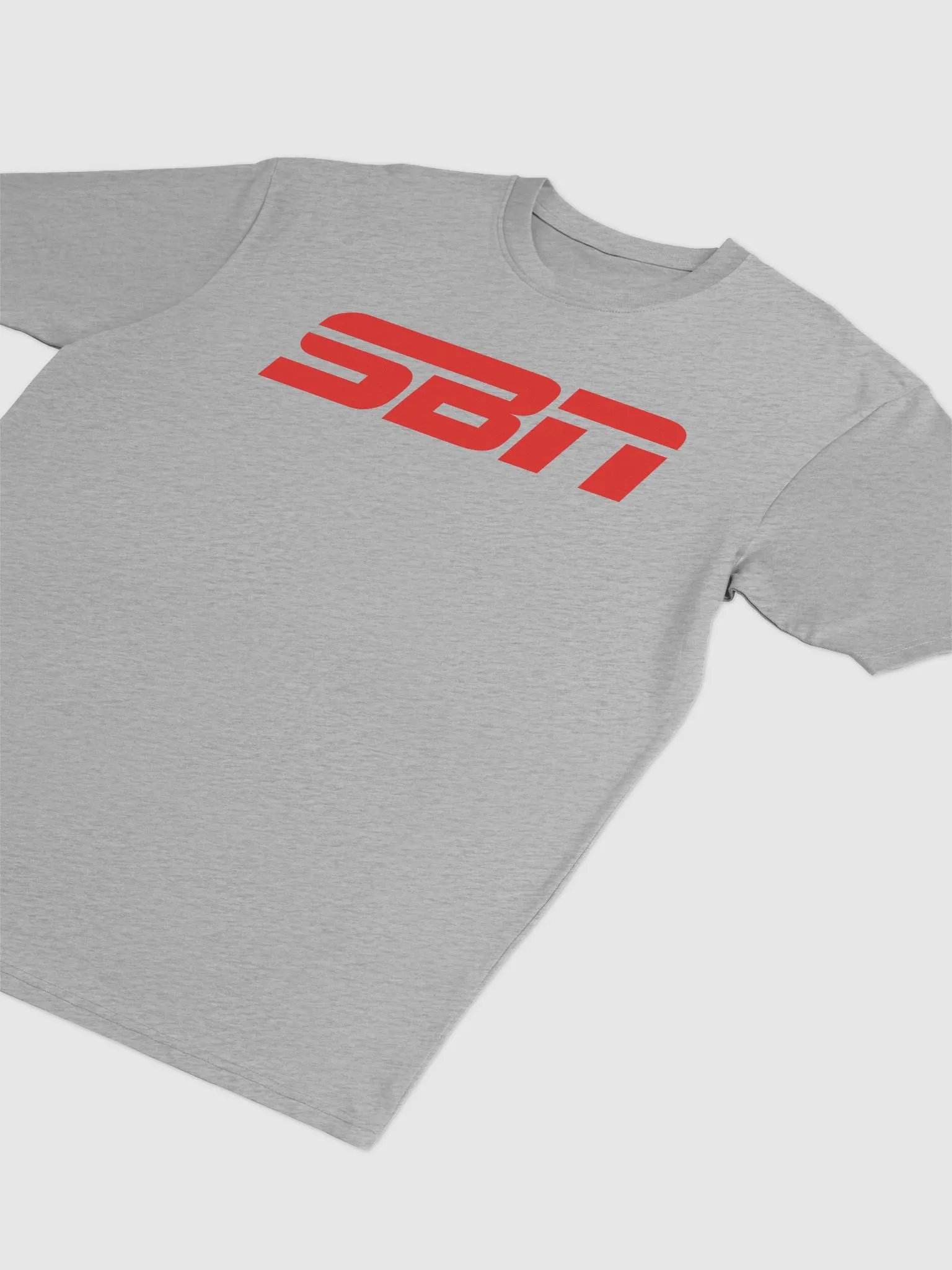 SBN Heavyweight T-Shirt Gray product image (2)