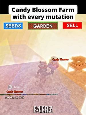 Candy Blossom Farm with Every Mutations.. #roblox #growagarden #fyp