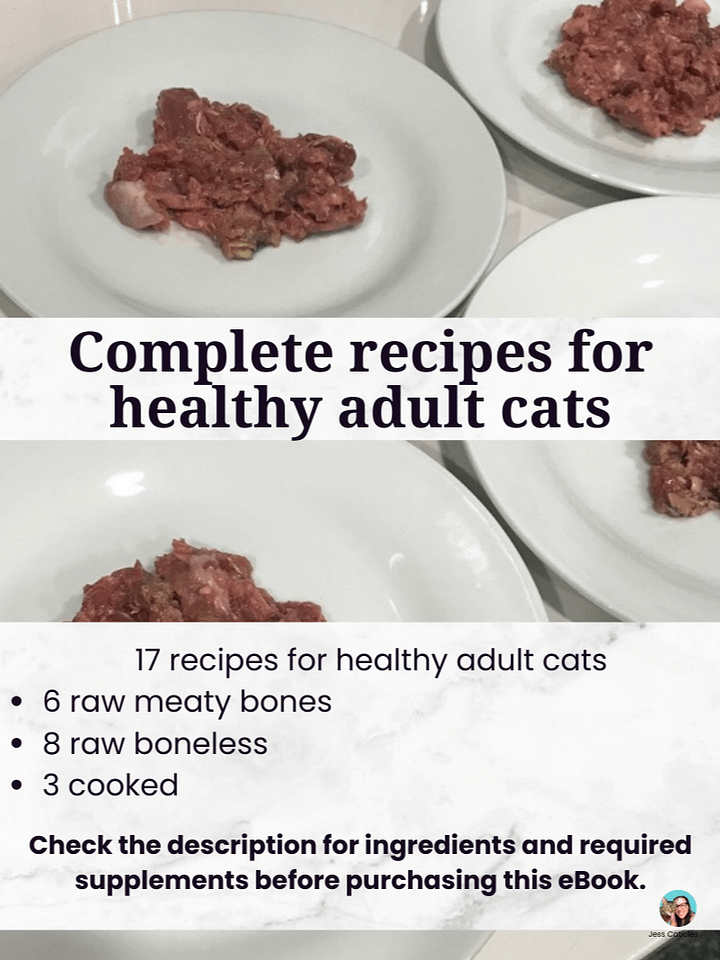 Fresh Cat Food Recipes eBook ~ Raw and Cooked Meals for Adult Cats product image (2)