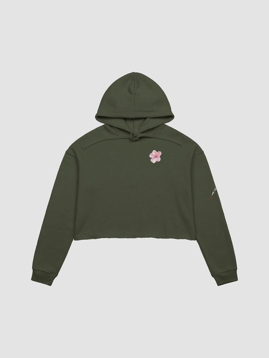 Hazey - CropTop Hoodie product image (3)