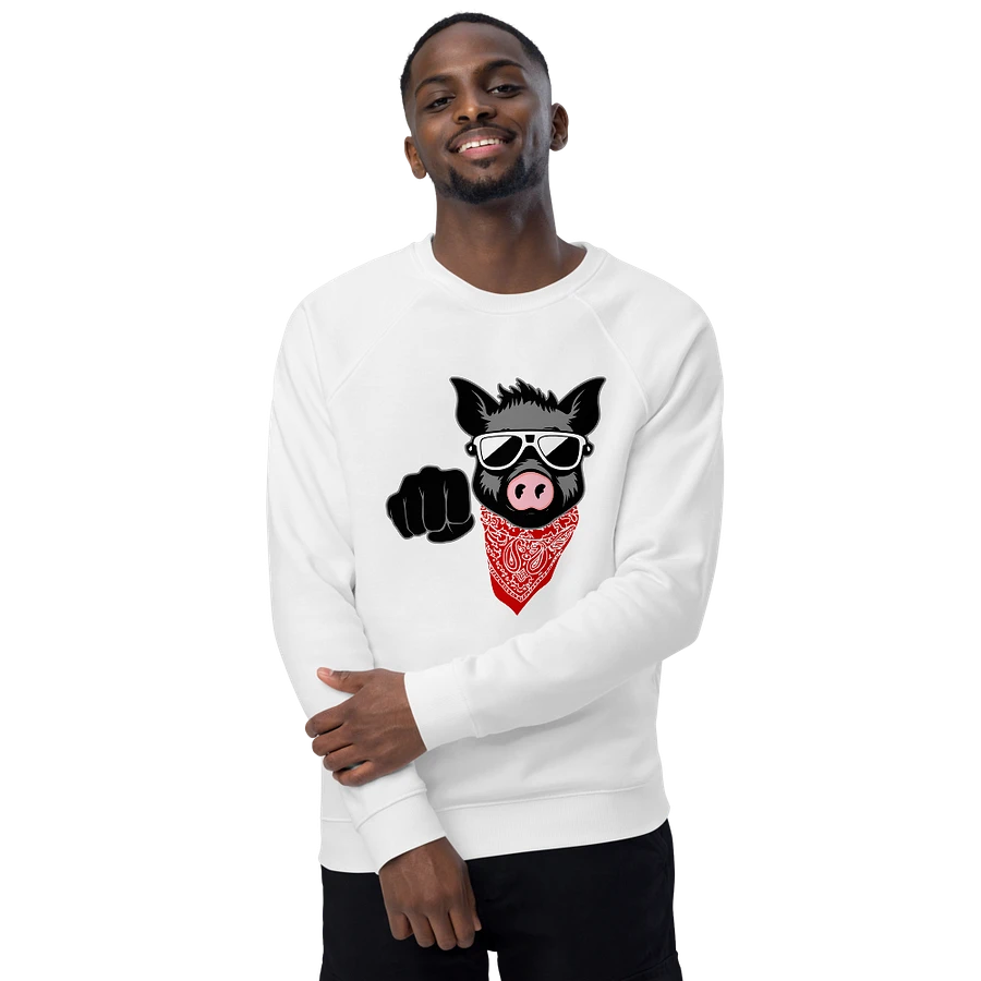 Kinky Fist Pig · organic raglan sweatshirt product image (4)