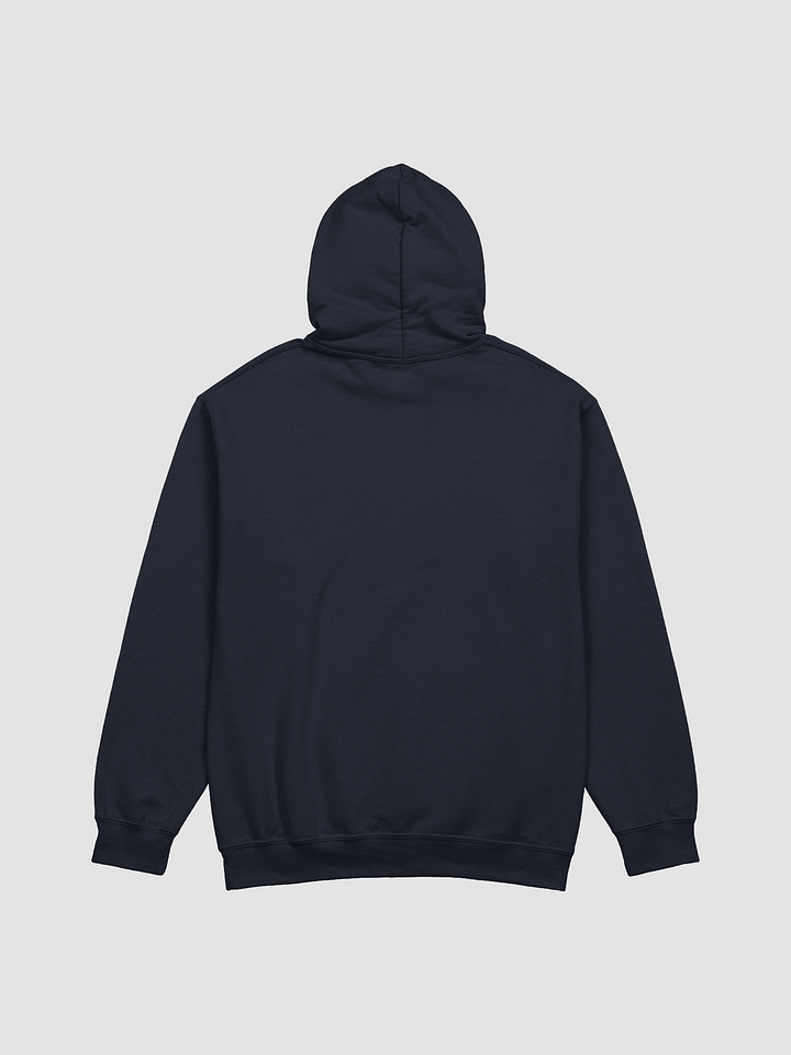 4PI "Olympic" Hoodie product image (4)
