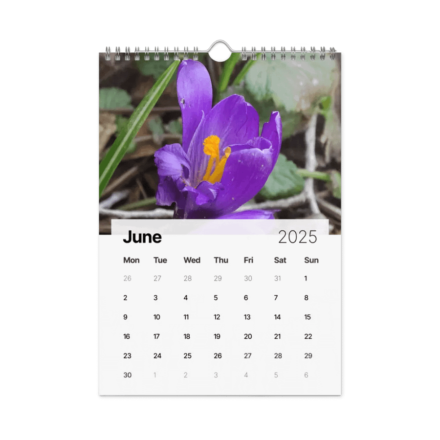 2025 Flower Medley Calendar product image (8)