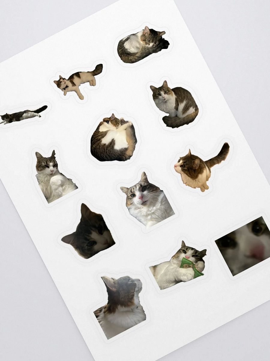 Kiki Sticker Sheet product image (1)