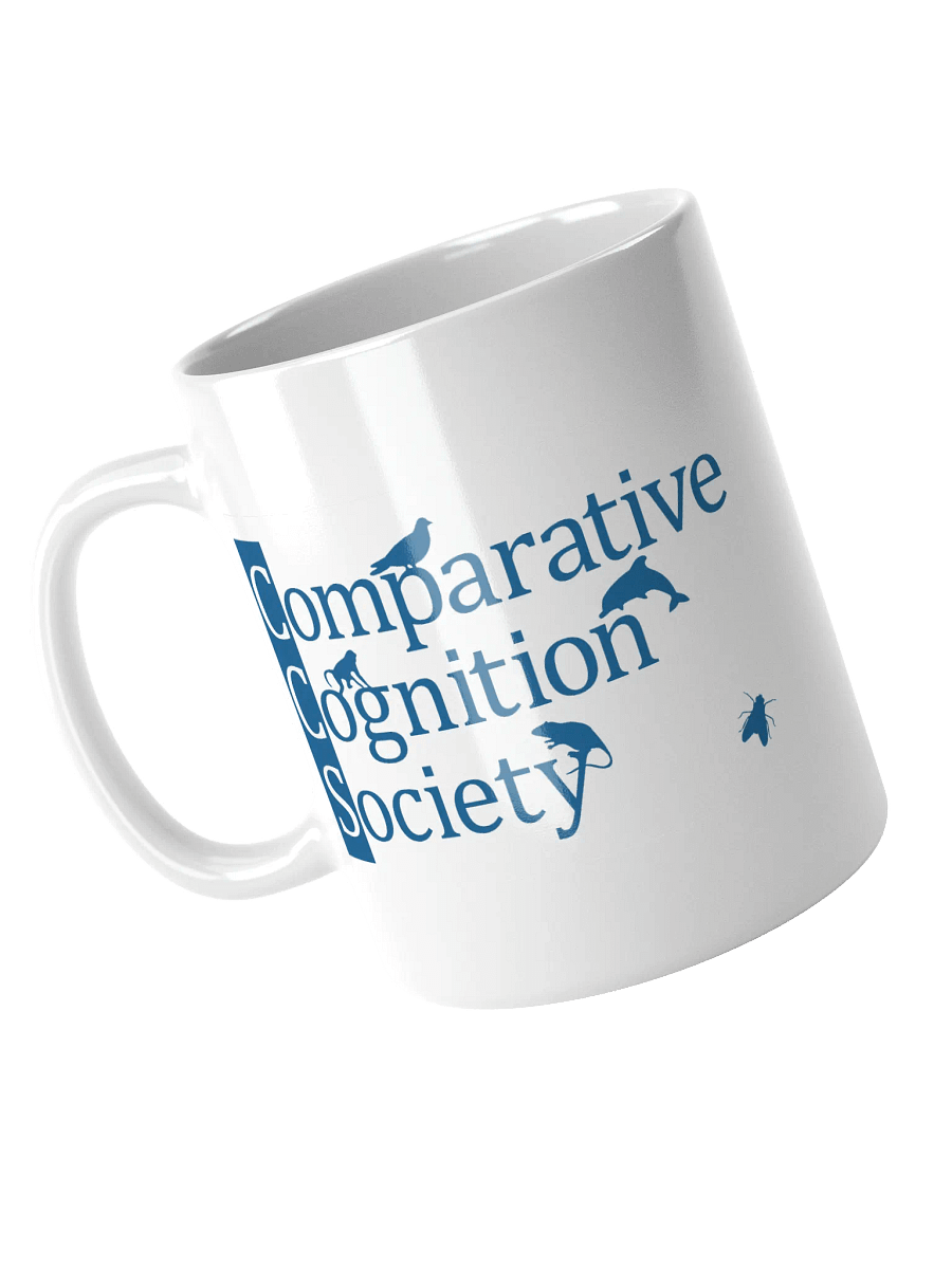 CCS mug product image (8)