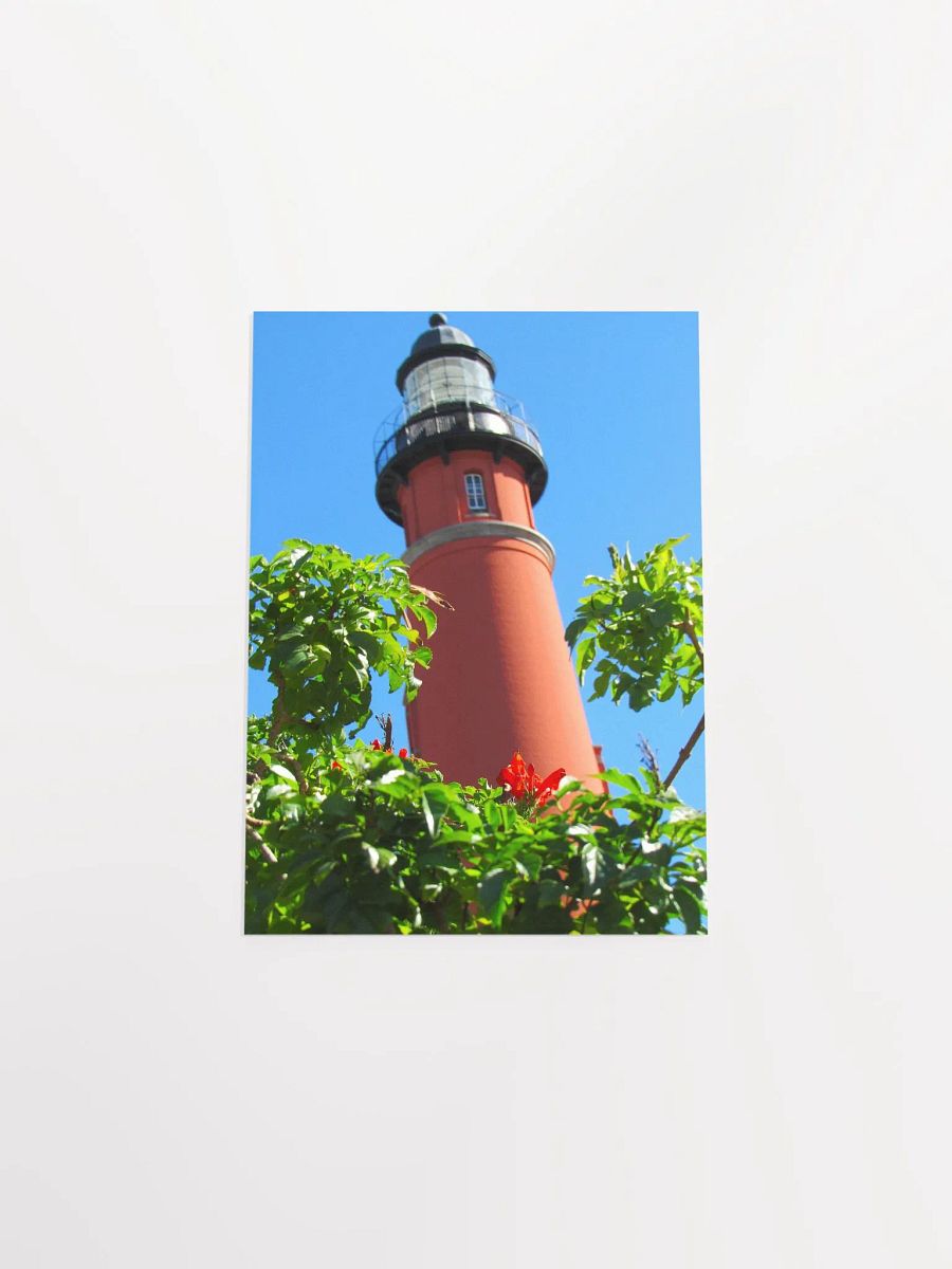 Light House w/ Cape Honeysuckle product image (43)