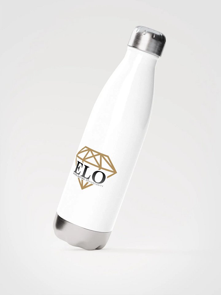 Water Bottle product image (2)