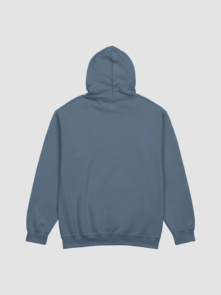 Flippin Lids Mail Carrier UNISEX hoodie product image (10)
