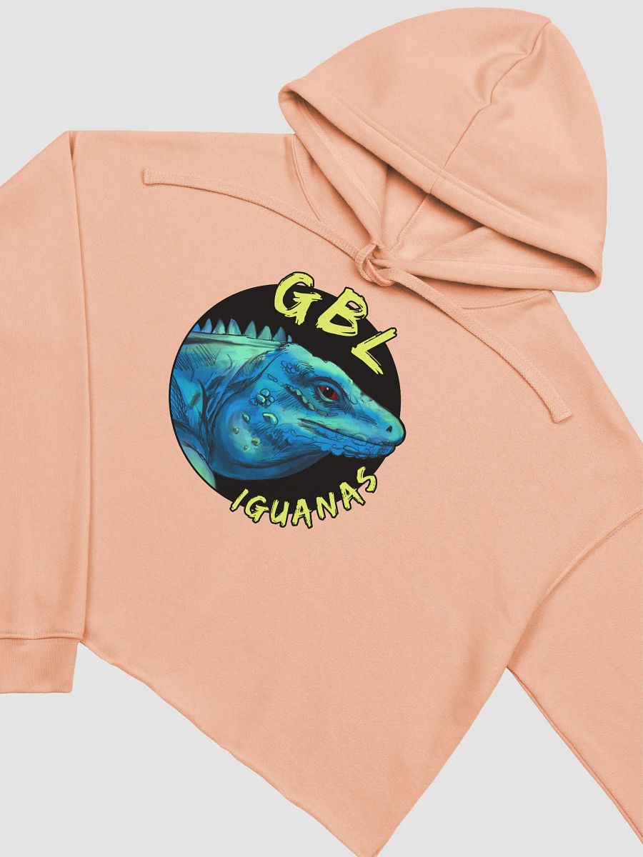 Women's Crop Hoodie product image (11)