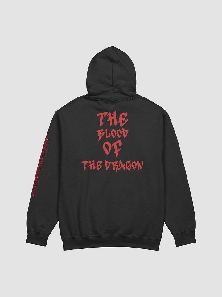 SHROOMxDRAGON HOODIE product image (8)
