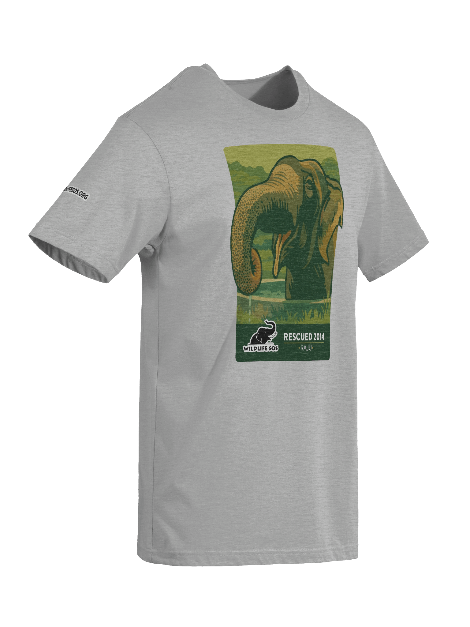 Raju - Rescued 2014! product image (34)