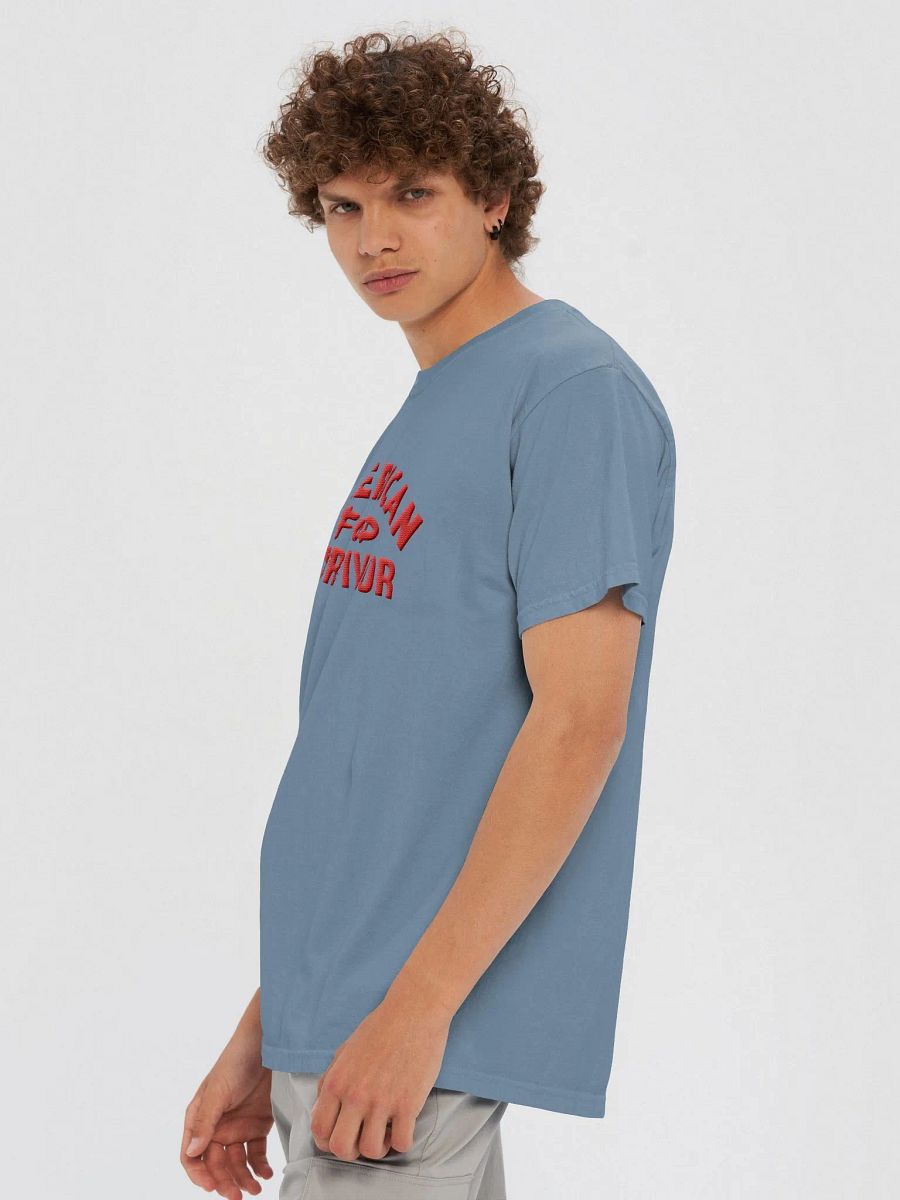 'American Food Survivor' Embroidered Tee product image (5)