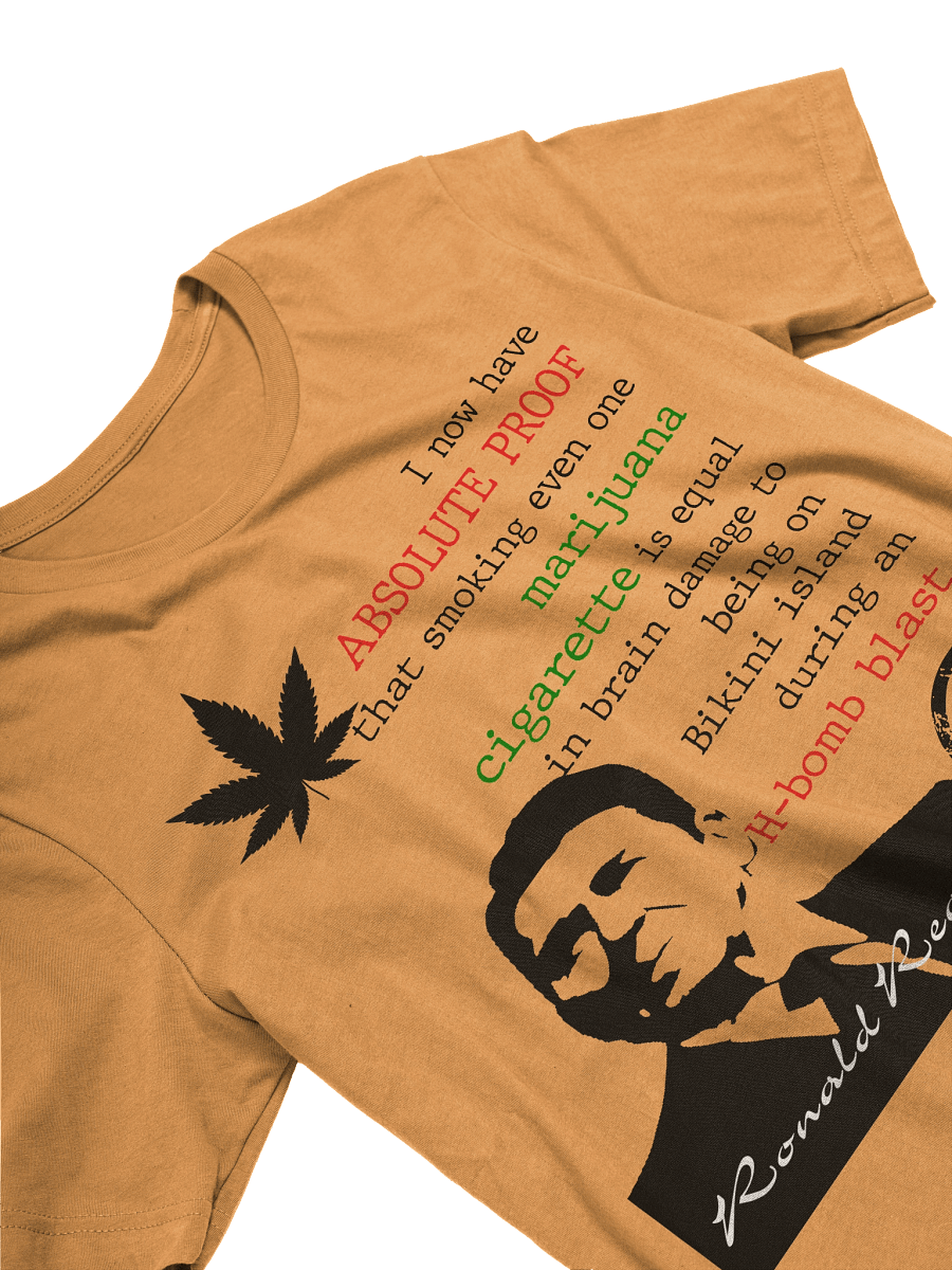 Ronnie Raygun product image (11)