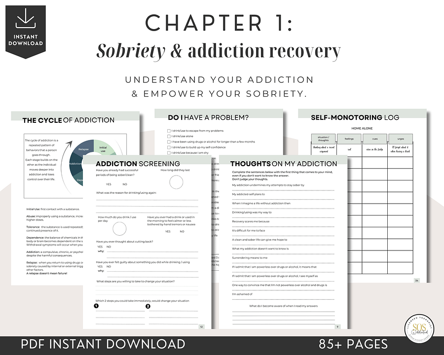 Addiction Recovery Workbook and Sobriety Journal - DIGITAL product image (3)