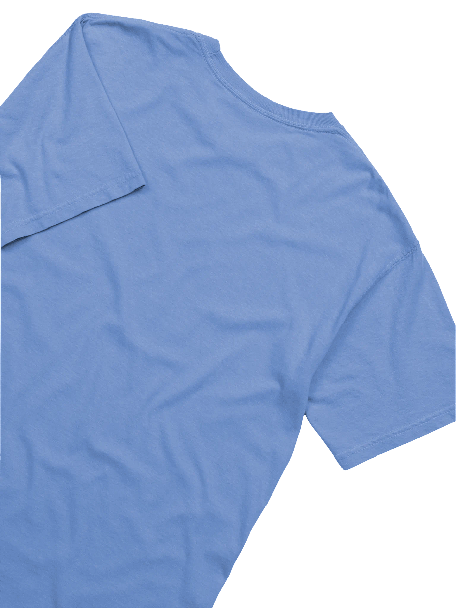 Wildcat Rage Heavyweight Tee product image (21)