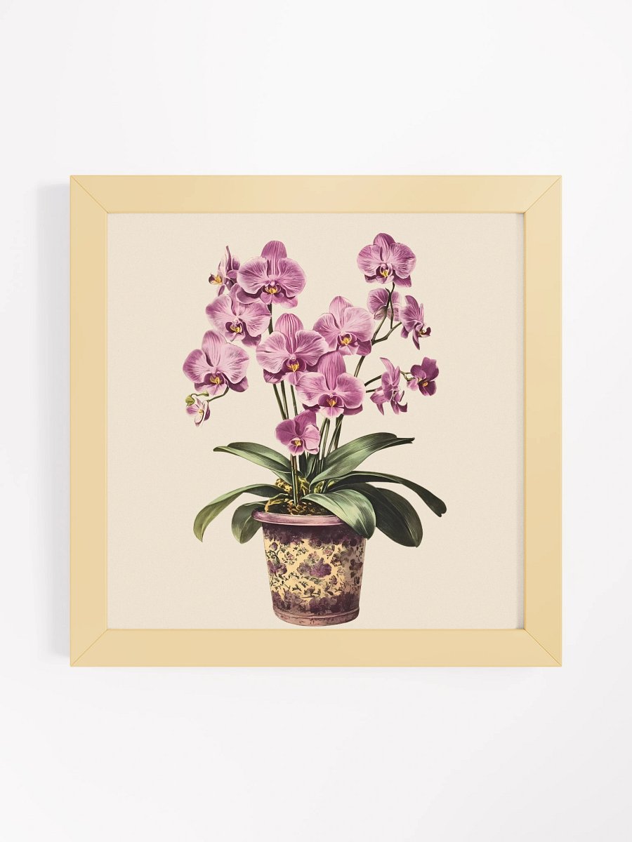 Orchid Bloom Framed Matte Poster product image (1)