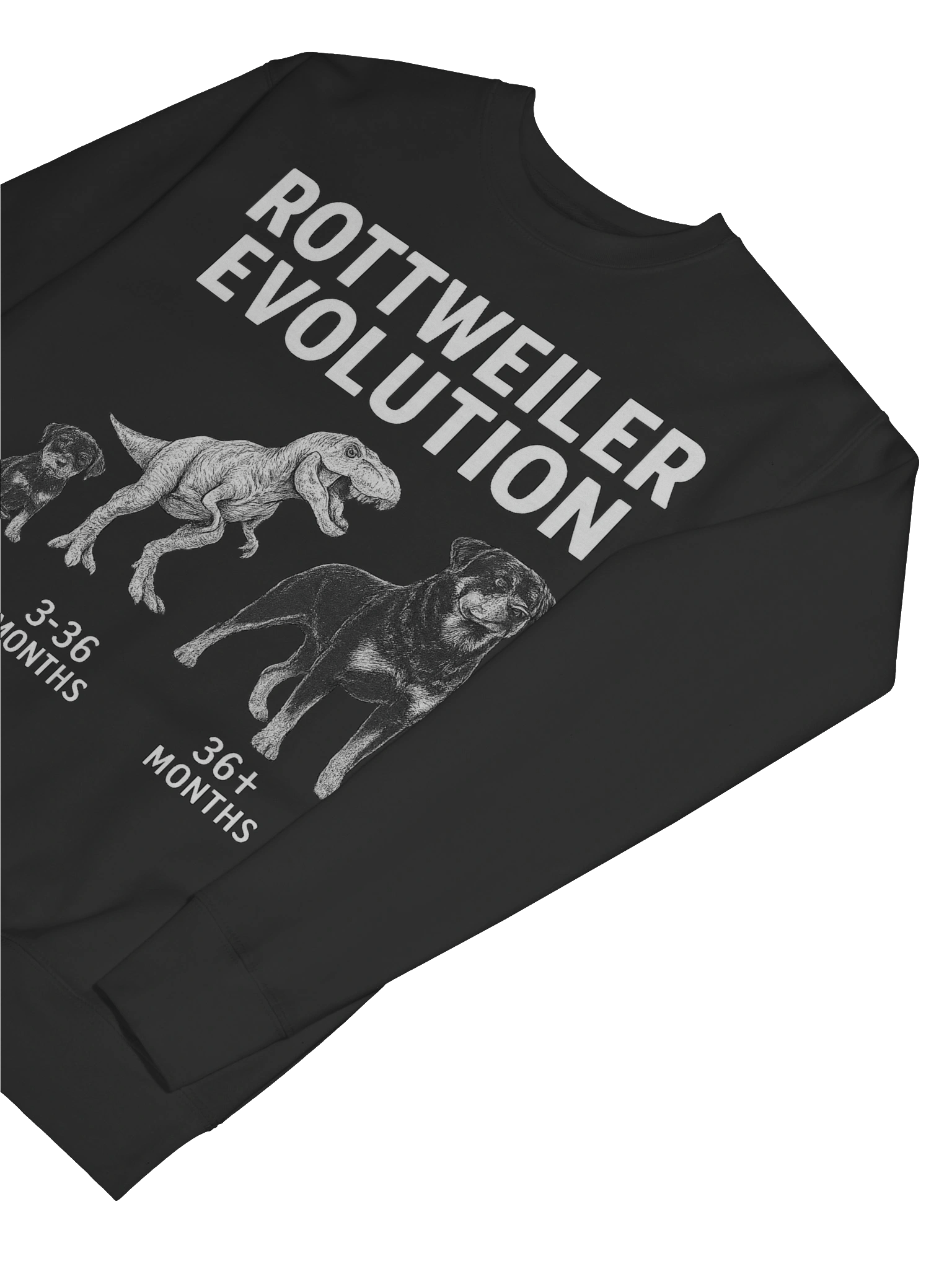 Rottweiler Evolution Premium Sweatshirt product image (37)