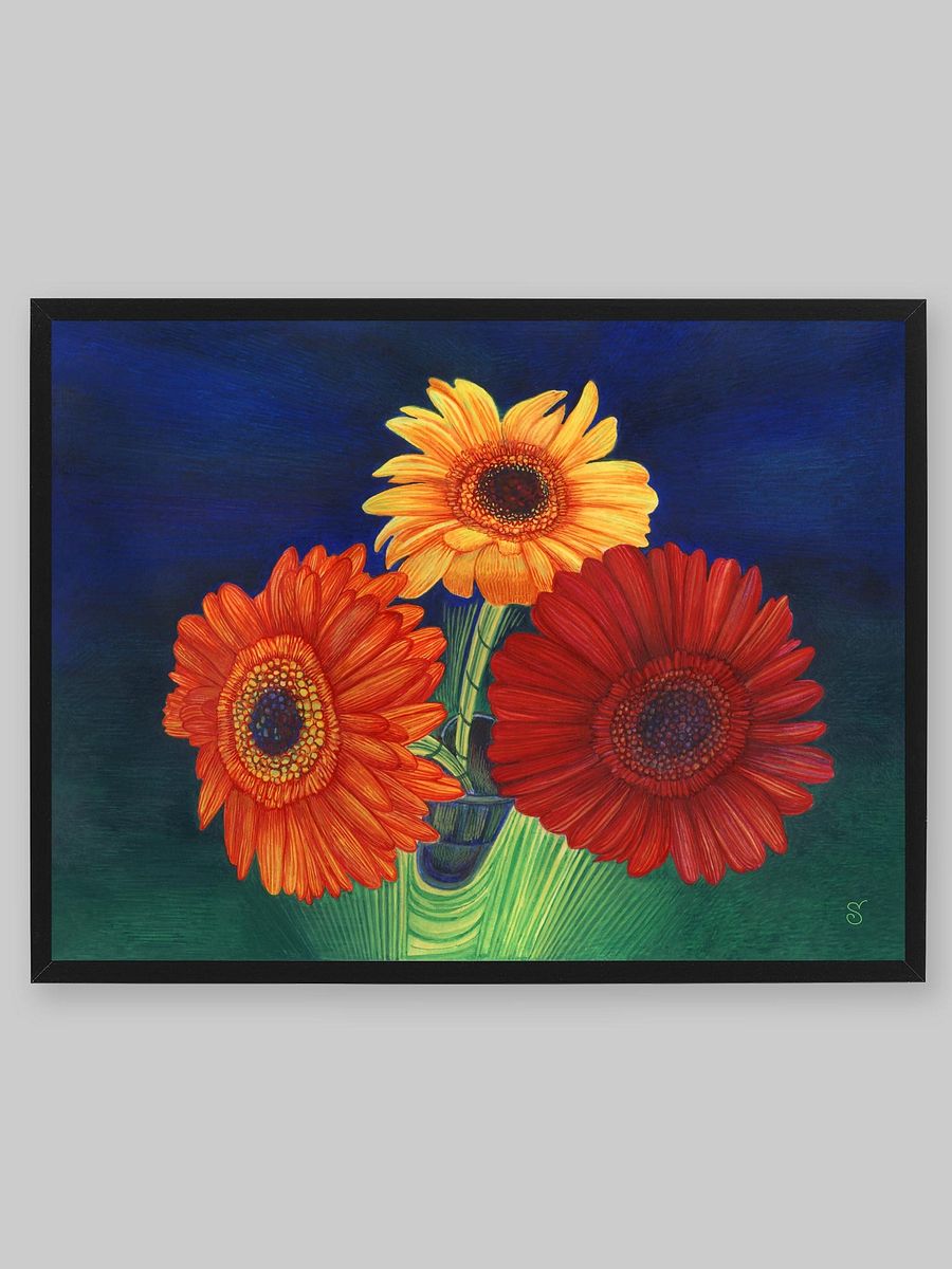 Blank Canvas: Unleash Your Creativity - 3 Bright Gerberas product image (5)