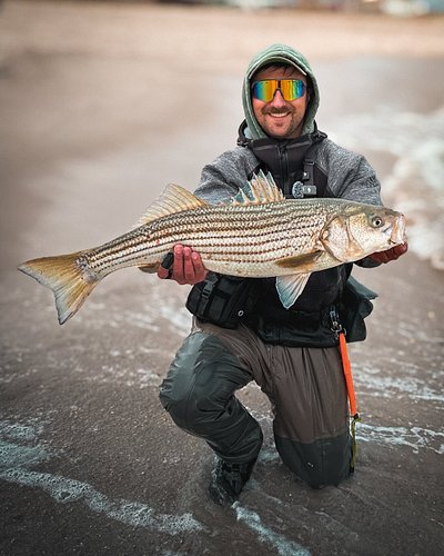 First fish of the ‘25 fall run. Let’s go! Caught this on a pencil popper with my @quantum.fishing Merit 5000 reel and @tsunam...