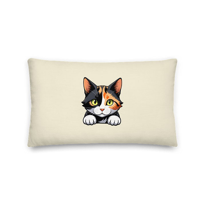 LIMITED TIME PHOENIX PILLOW product image (2)
