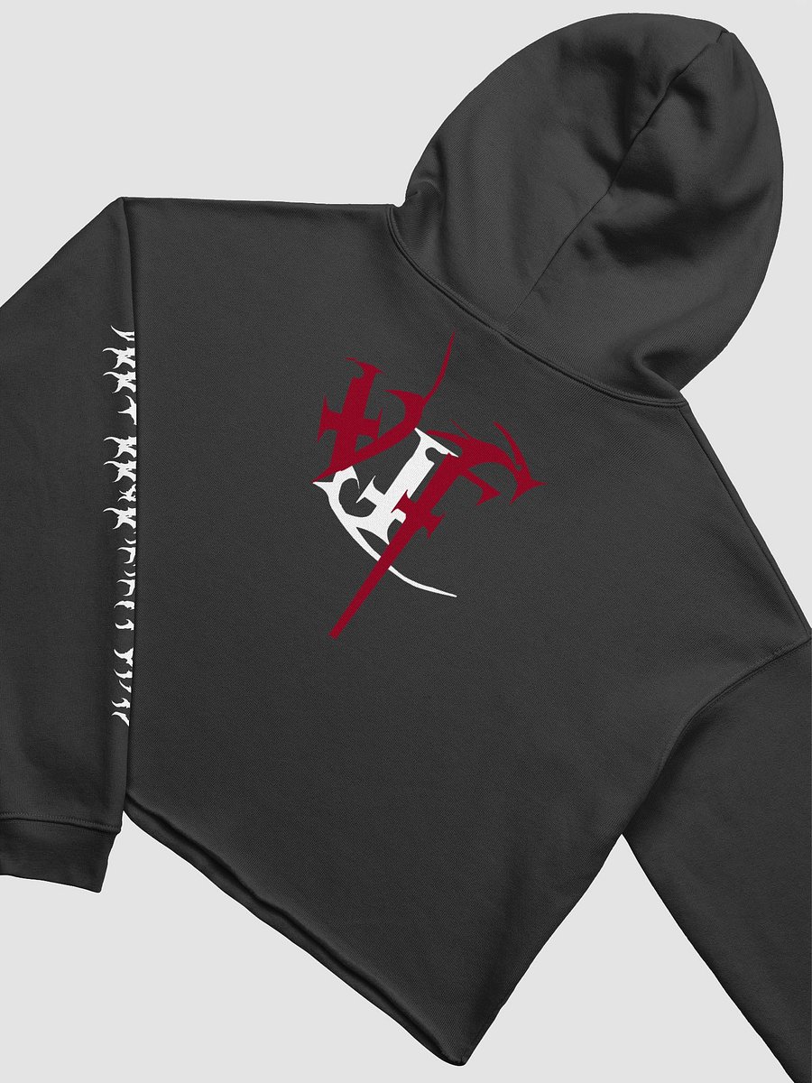 Voodoo Metal Crop Top Hoodie product image (10)