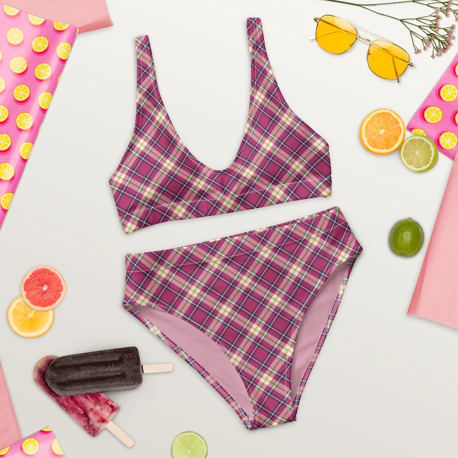 Raspberry Pink and Navy Plaid Bikini product image (9)