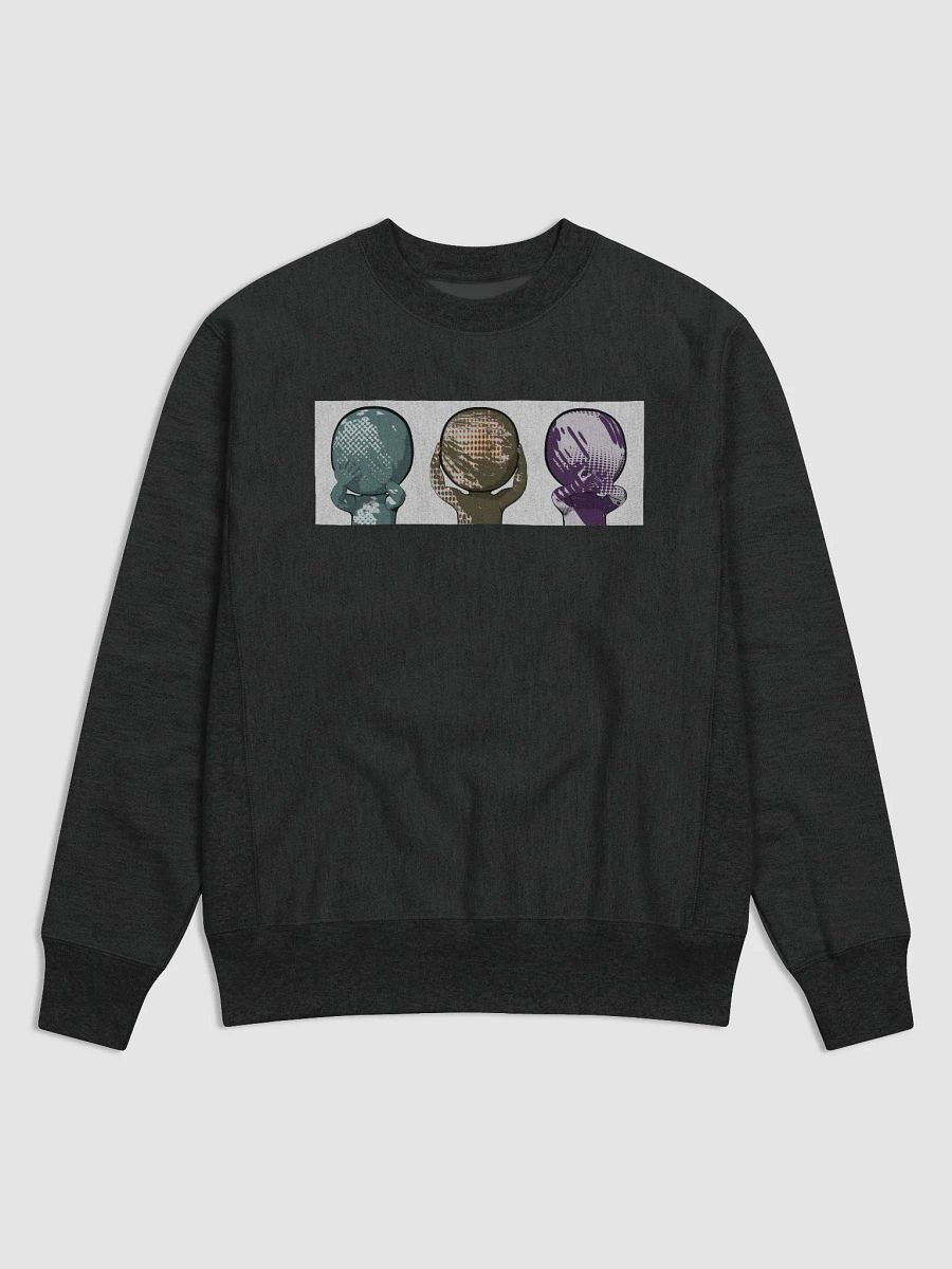 See Hear Speak Champion Pullover (B) product image (1)