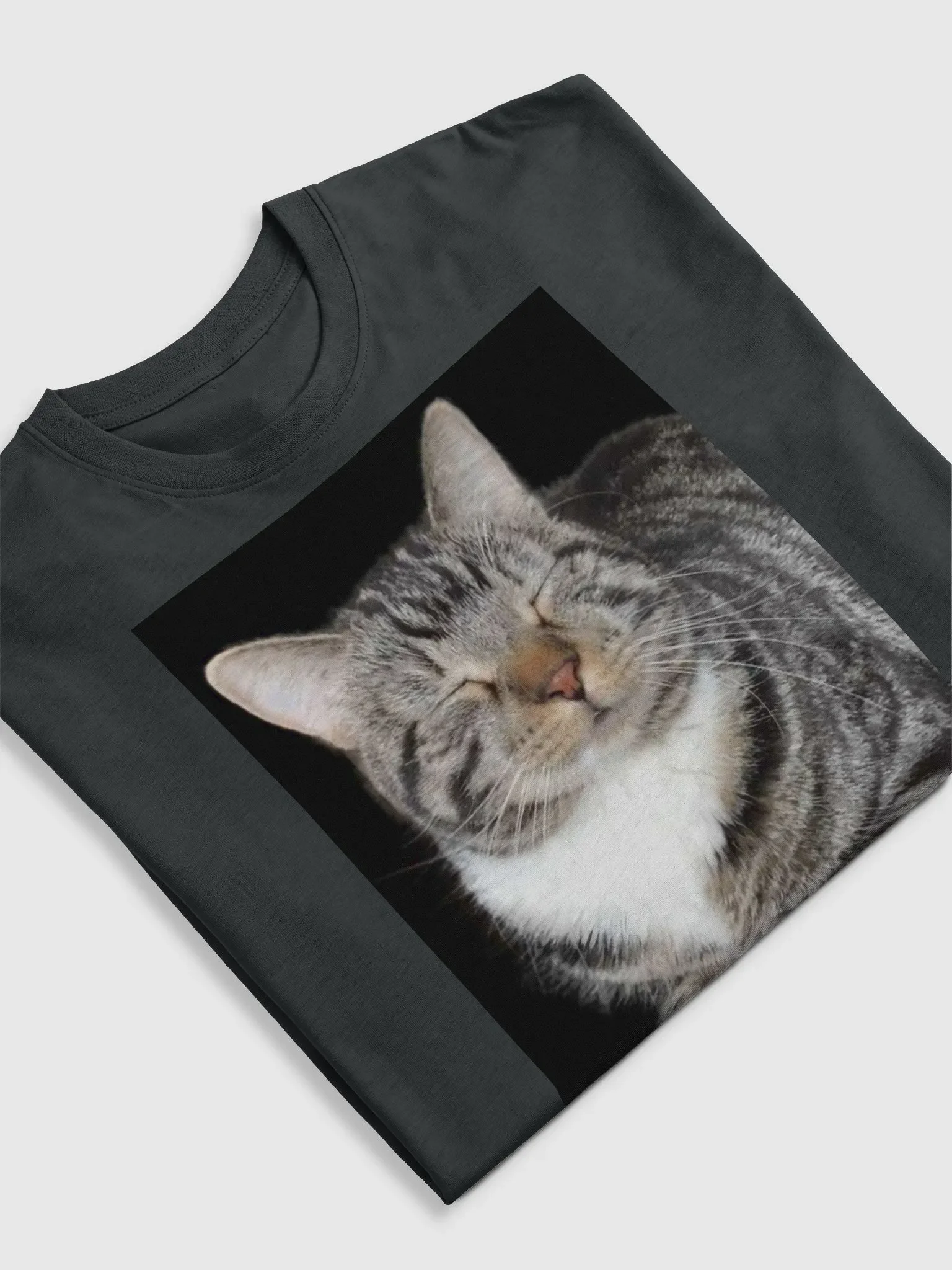 Scooter Cat product image (5)