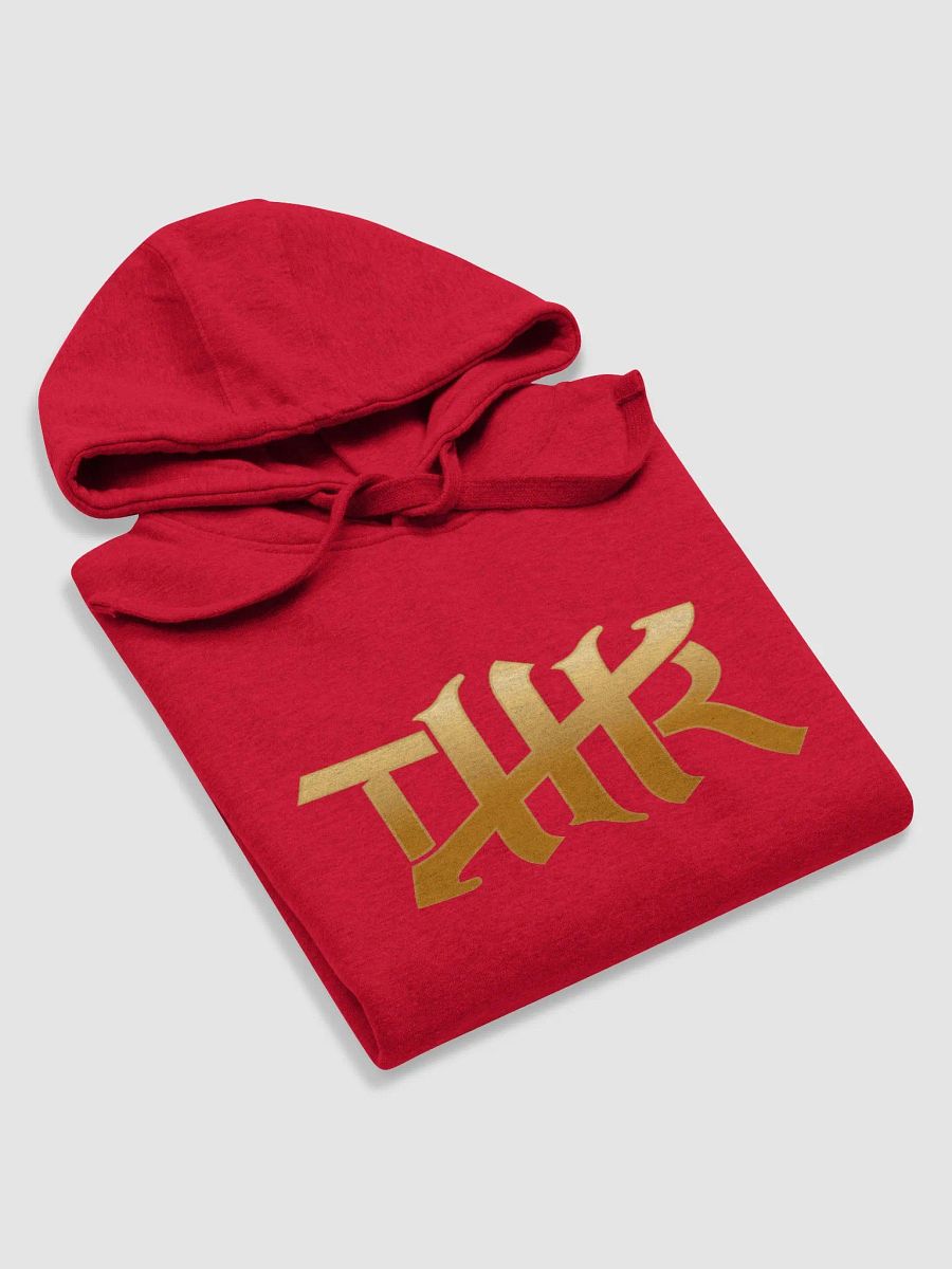TMR Logo Hoodie product image (59)