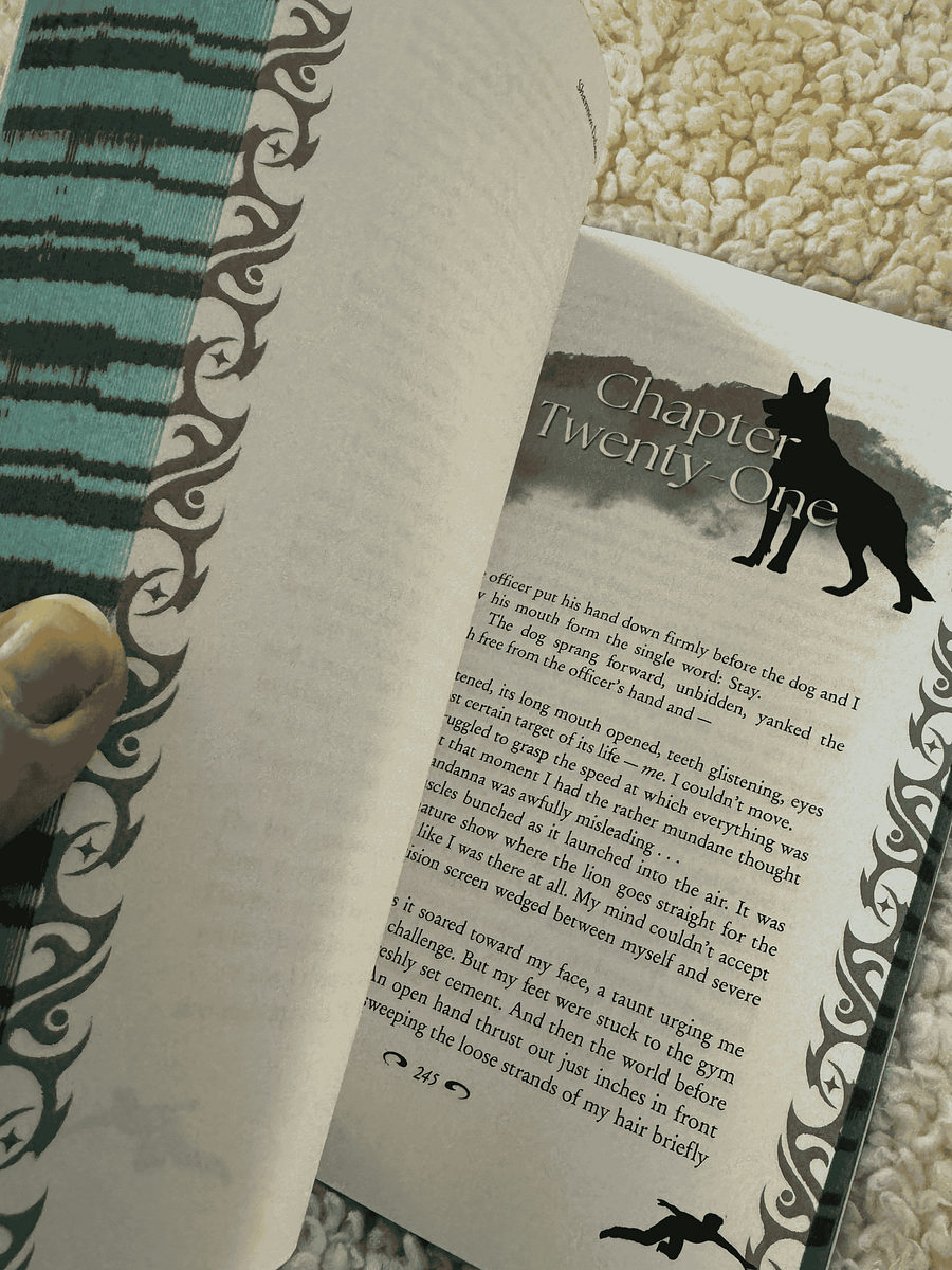 13 TO LIFE Special Limited Edition 13 to Life with Teal Page Edges product image (6)