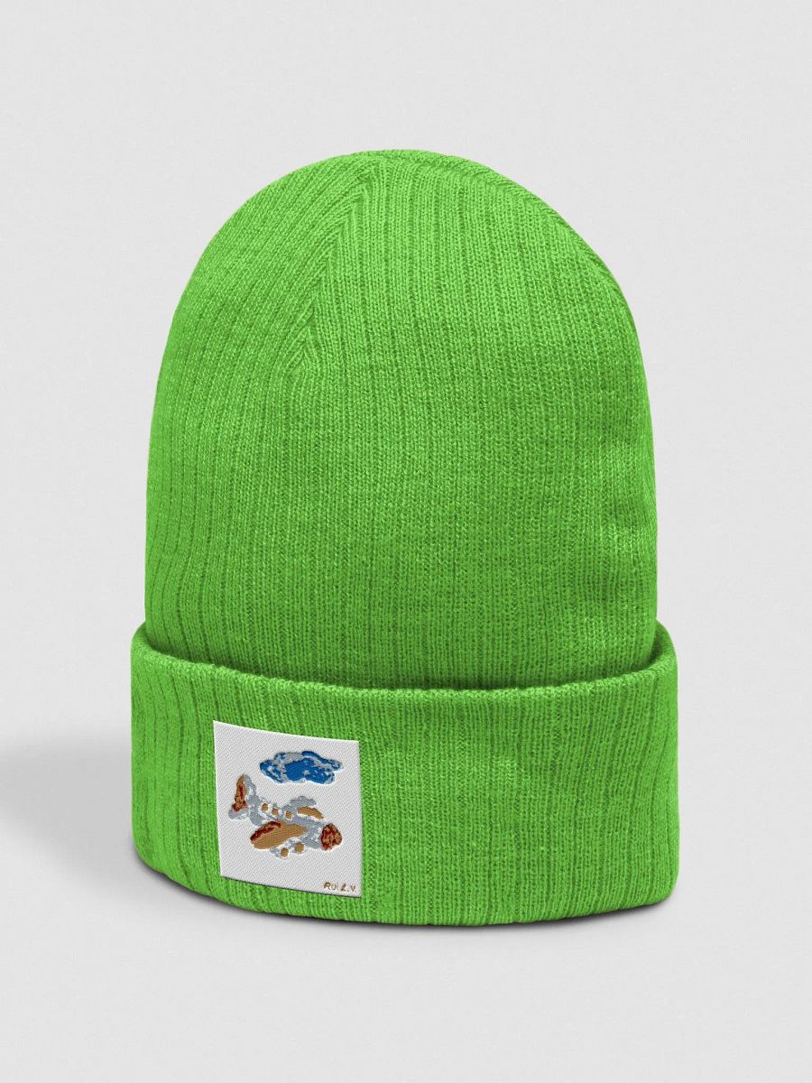Kid Airplane (Atlantis Ribbed Knit Beanie) product image (5)