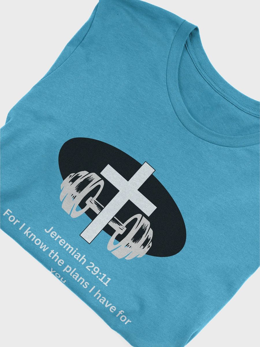 Jeremiah 29:11 bible verse product image (40)