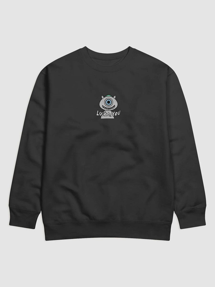 Look At You Sweatshirt product image (8)