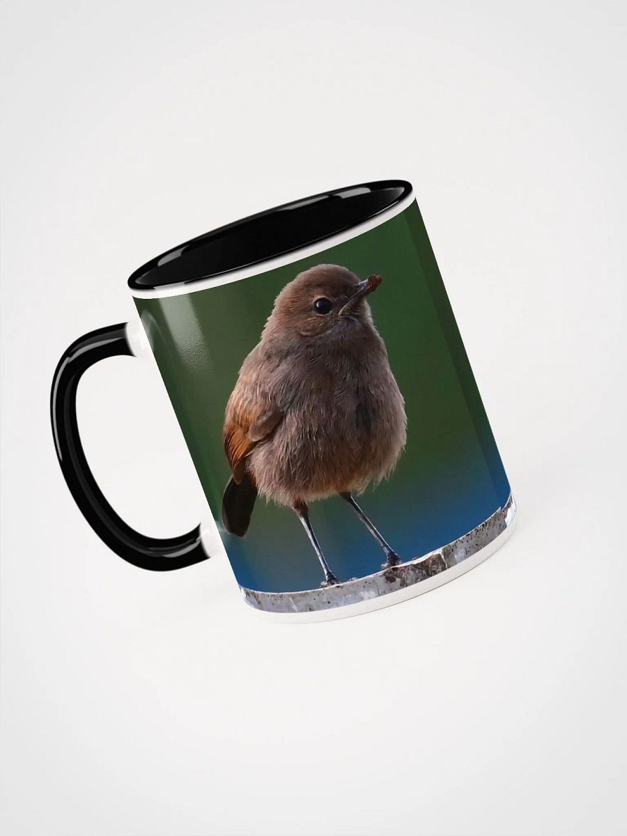 IUCAA Birds MUG product image (3)