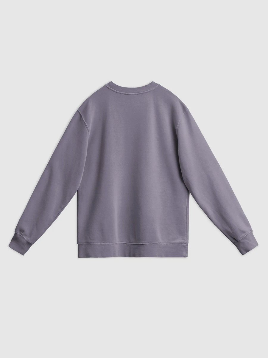 PlumTonBerry Sweater product image (24)