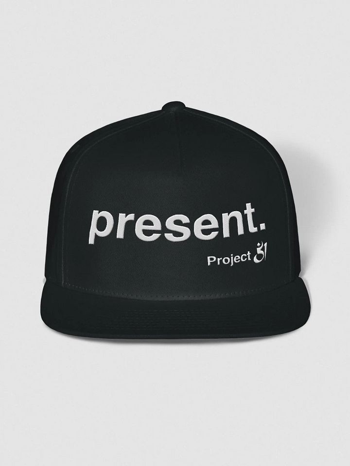 present. Snapback product image (1)