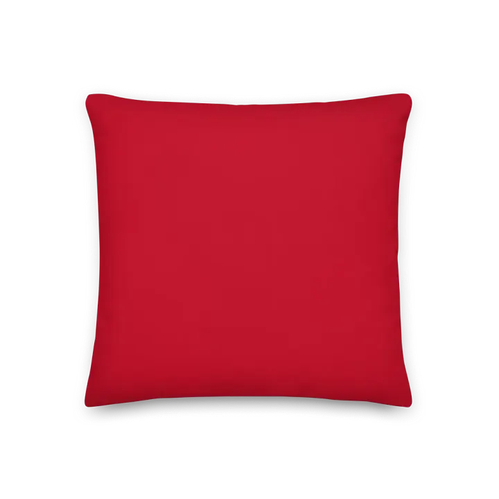 Paws Off My Heart - pillows product image (2)