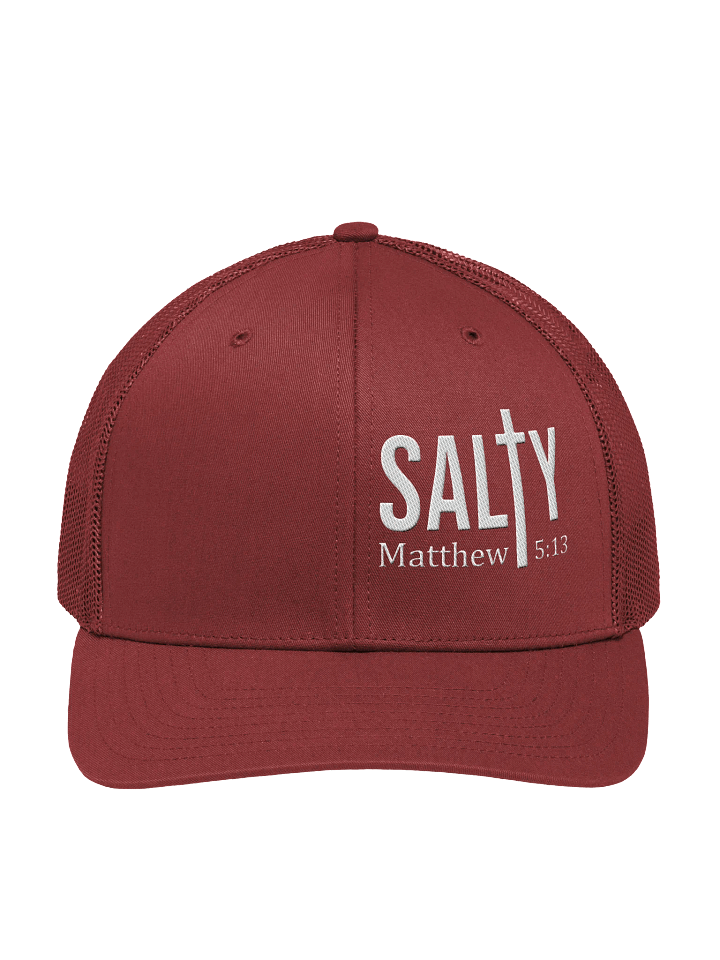 Salty Snapback product image (2)
