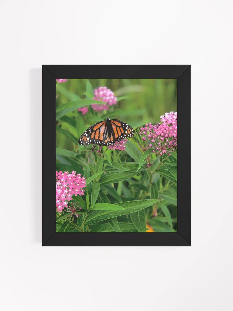 Monarch Butterfly High Quality Matte Poster product image (4)