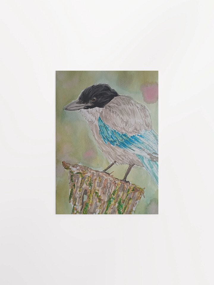 Corvid Series [10] Azure-winged Magpie poster print product image (1)