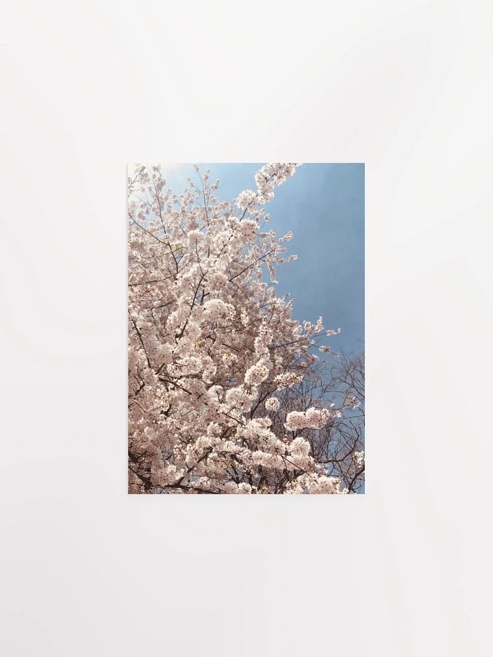 Primavera - Enhanced Matte Paper Poster product image (1)