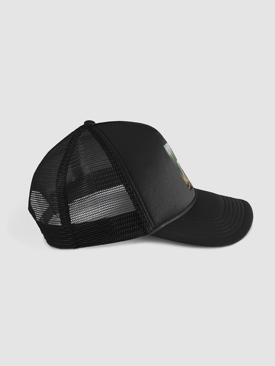 Horse product image (5)