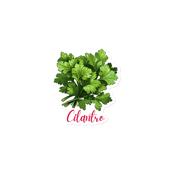 Cilantro Herb Magnet product image (2)