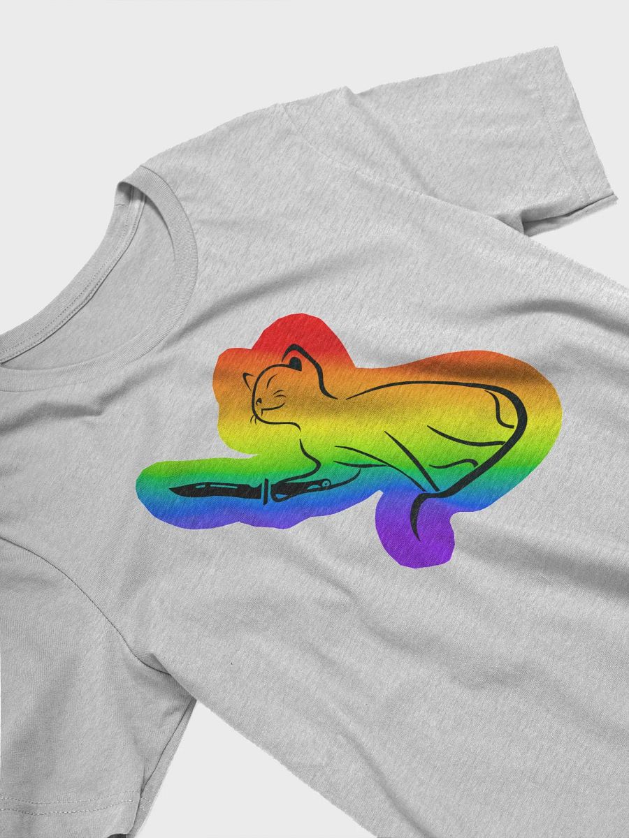 OkayishAF Rainbow Cat product image (28)