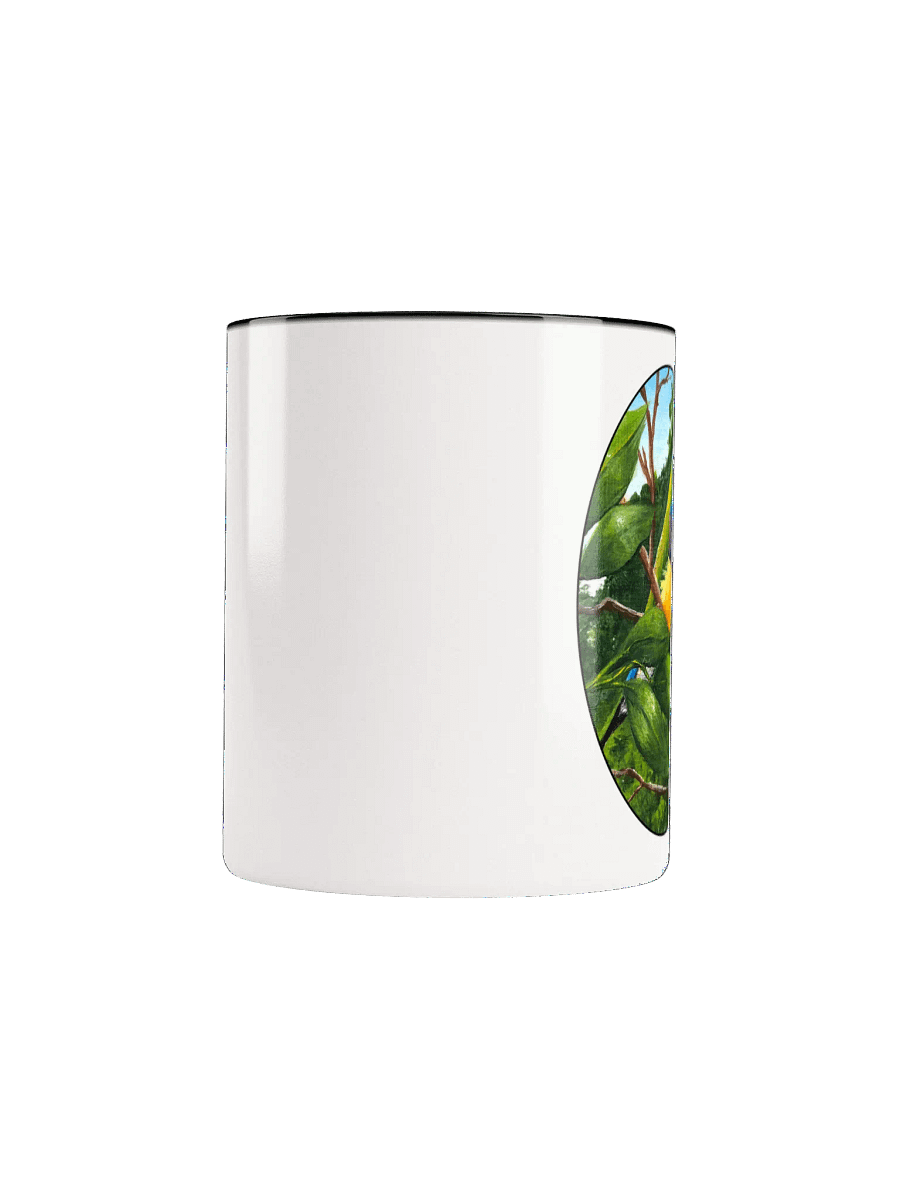 Vibrant Gouldian Finch Ceramic Mug product image (34)